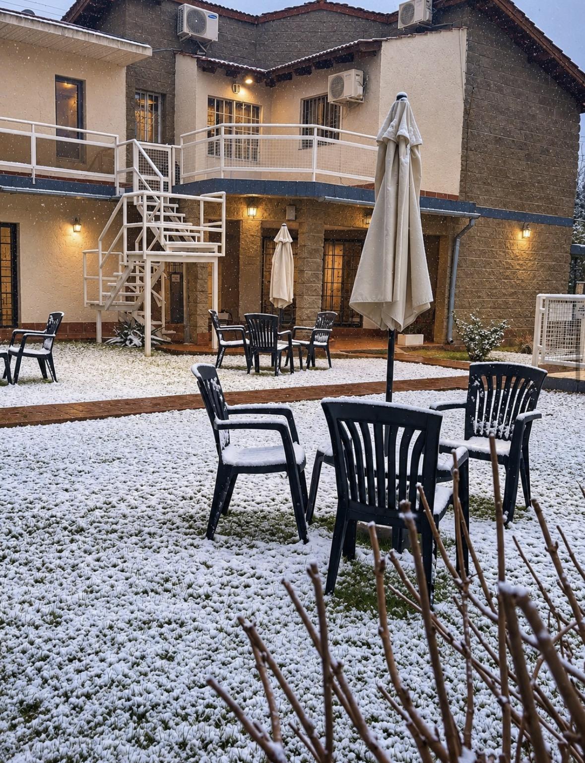 El jardín un día de nevada